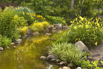 Картинка природа парк цветы сад водоем