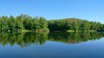 Картинка природа реки озера лес озеро