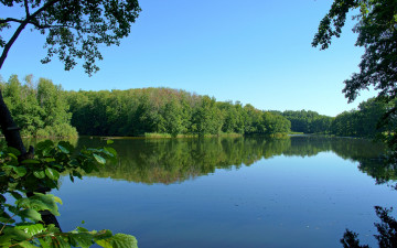Картинка природа реки озера лес озеро небо