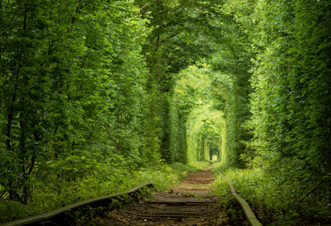 Обои картинки фото природа, дороги, тоннель