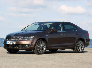 Картинка автомобили skoda octavia laurin klement 5e 2014г темный