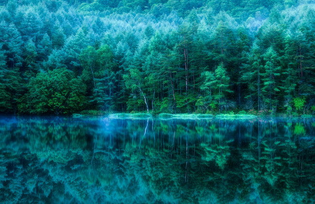 Обои картинки фото природа, реки, озера, отражение, деревья, лес, водоем, пруд, Япония