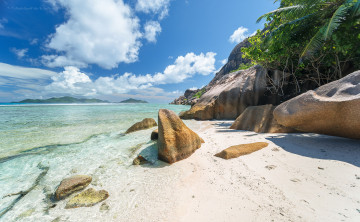 Картинка природа побережье пальмы вода море камни песок