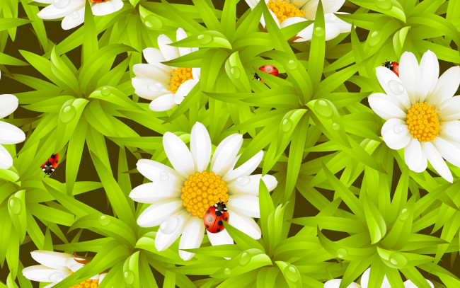 Обои картинки фото векторная графика, цветы , flowers, ромашки, божья, коровка, роса, капельки