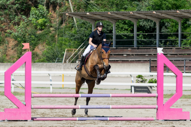 Обои картинки фото спорт, конный спорт, конный, препятствия, наездница, лошадь