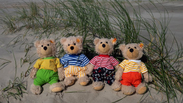Картинка разное игрушки песок пляж трава плюшевые медвежата