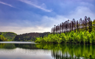 Картинка природа реки озера лето река лес отражение