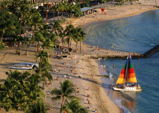 Картинка природа тропики пальма яхта берег пляж