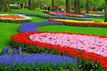 Картинка цветы разные вместе парк