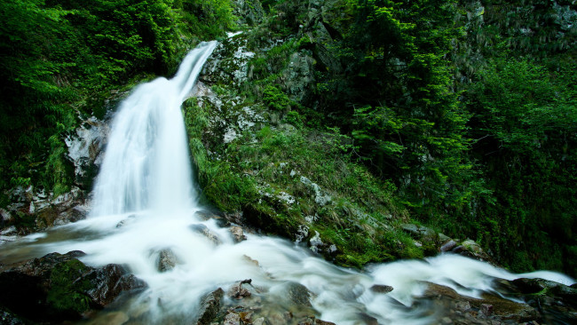 Обои картинки фото природа, водопады, лес, камни, трава, вода