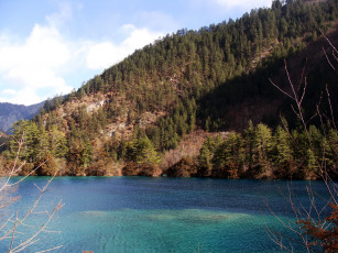 Картинка китай jiuzhaigou valley природа реки озера горы озеро лес