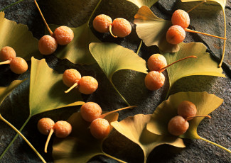 Картинка природа Ягоды листья ягоды