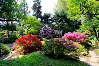 Картинка Чехия прага ботанический сад природа парк цветы клумбы