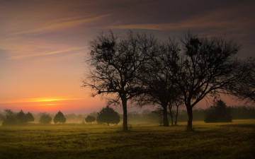 Картинка природа восходы закаты лето лес поляна деревья небо облака туман закат