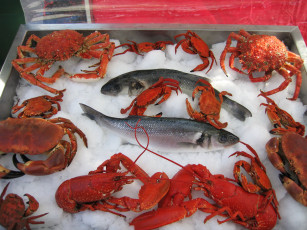 Картинка еда рыба морепродукты суши роллы раки