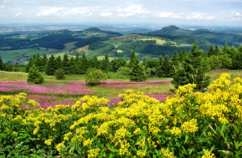 Картинка природа пейзажи цветы деревья трава холмы долина