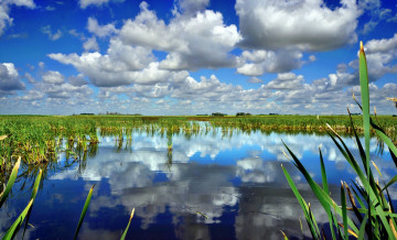Картинка природа реки озера озеро горизонт облака трава