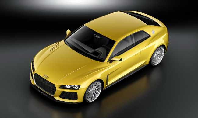 Обои картинки фото 2013, audi, sport, quattro, автомобили