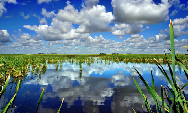 Обои картинки фото природа, реки, озера, озеро, горизонт, облака, трава