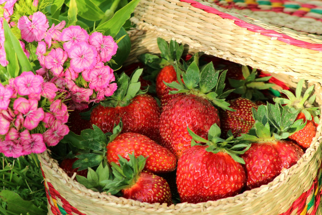 Обои картинки фото еда, клубника, земляника, ягоды, гвоздики, лукошко