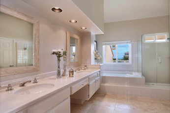 Картинка интерьер ванная+и+туалетная+комнаты цветы дизайн стиль ванная