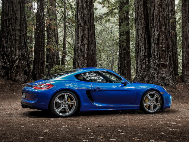 Обои картинки фото автомобили, porsche, синий, 2014г, 981c, gts, cayman