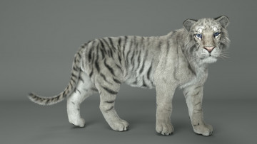 Картинка 3д+графика животные+ animals фон тигр