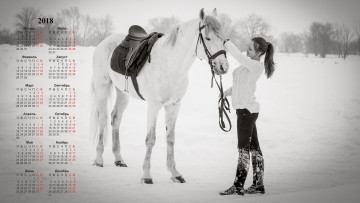 обоя календари, девушки, снег, лошадь