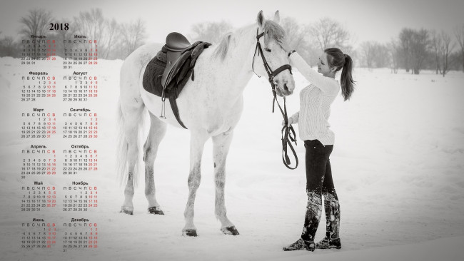 Обои картинки фото календари, девушки, снег, лошадь