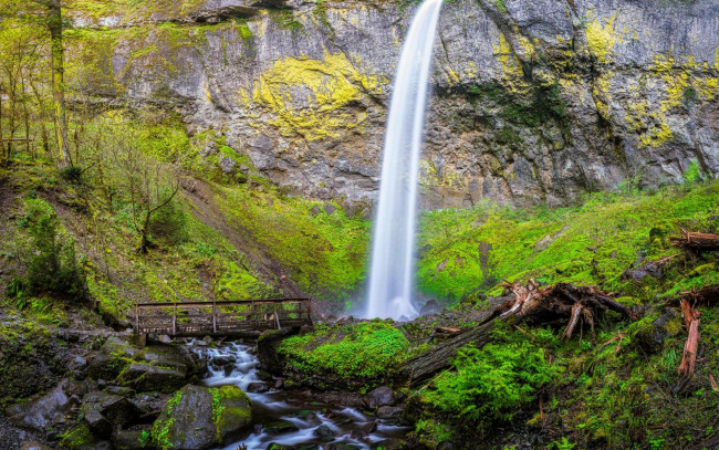 Обои картинки фото природа, водопады, скала, upper, oneonta, waterfalls, водопад, columbia, river, gorge