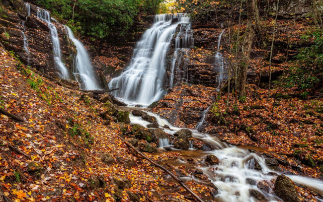 Обои картинки фото природа, водопады, водопад, лес, деревья, осень