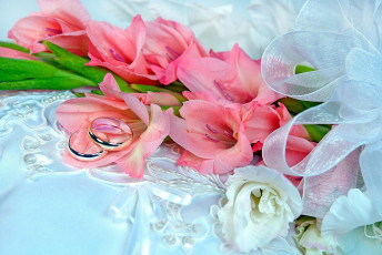 Картинка цветы гладиолусы букет