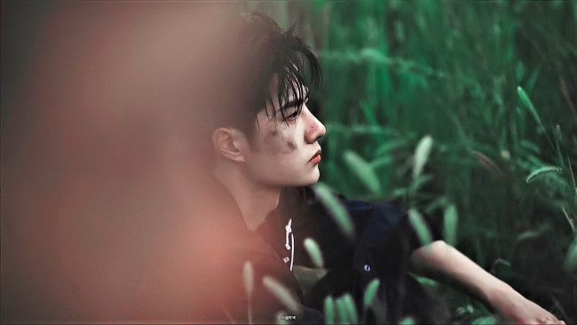 Обои картинки фото мужчины, wang yi bo, актер, лицо, трава