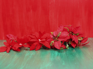 Картинка праздничные мишура гирлянды цветы