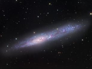 Картинка ngc 55 космос галактики туманности