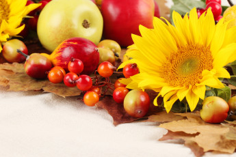 обоя еда, фрукты, ягоды, дары, осени
