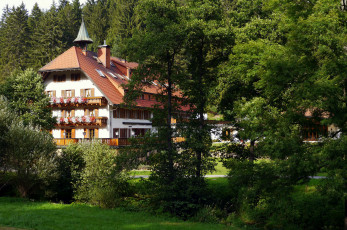 Картинка германия графенхаузен города здания дома дом лес деревья