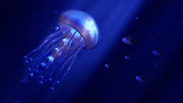 Картинка 3д графика animals животные рыбки медуза