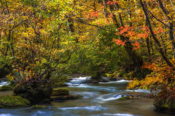 Картинка природа реки озера лес осень река