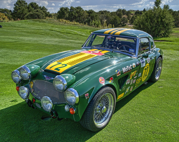 Обои картинки фото 1966 austin healey 3000 mk, iii racecar, автомобили, выставки и уличные фото, автошоу, выставка