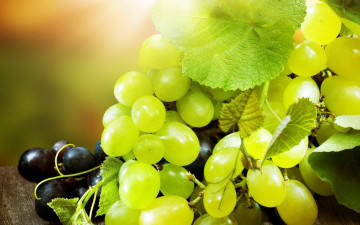 обоя природа, Ягоды,  виноград, гроздь