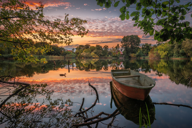 Обои картинки фото корабли, лодки,  шлюпки, пруд, озеро, утка, лодка, отражение, ветки, деревья