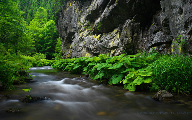 Обои картинки фото природа, реки, озера, скала, лес, растения