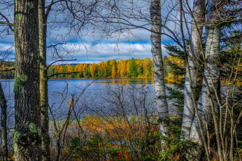 Картинка природа реки озера лес река осень