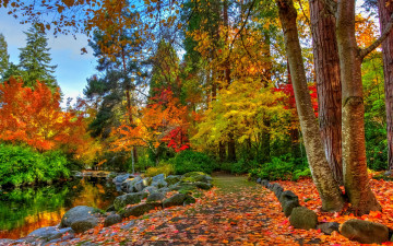 Картинка природа дороги trees autumn forest nature осен landscape river деревья лес view scenery пейзаж