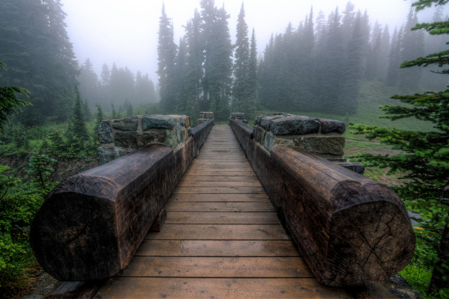 Обои картинки фото природа, дороги, лес, туман, мост