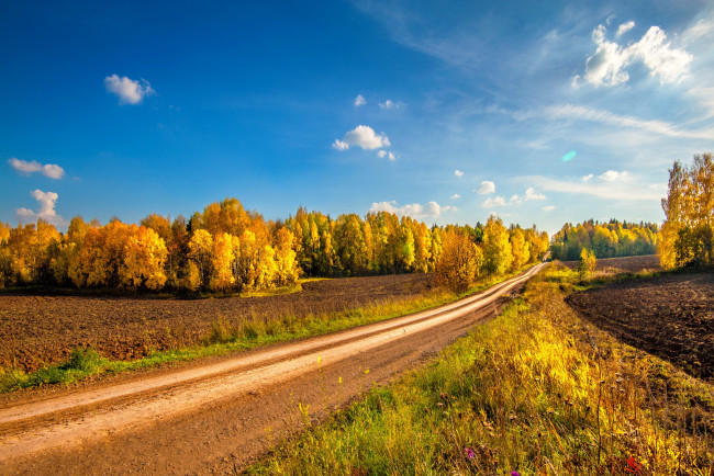 Обои картинки фото природа, дороги, осень, деревья, поля, небо