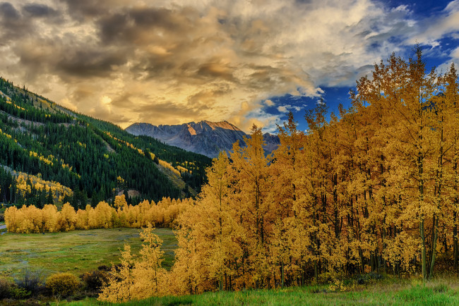 Обои картинки фото природа, пейзажи, горы, лес, осень