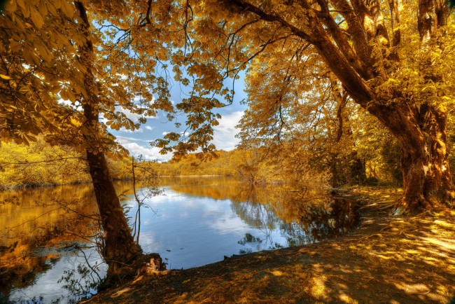 Обои картинки фото природа, реки, озера, деревья, река, осень, листья, трава