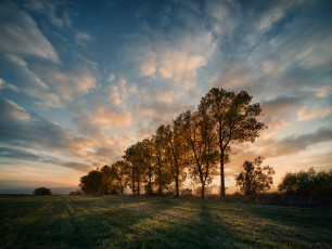Картинка природа восходы закаты утро поле деревья
